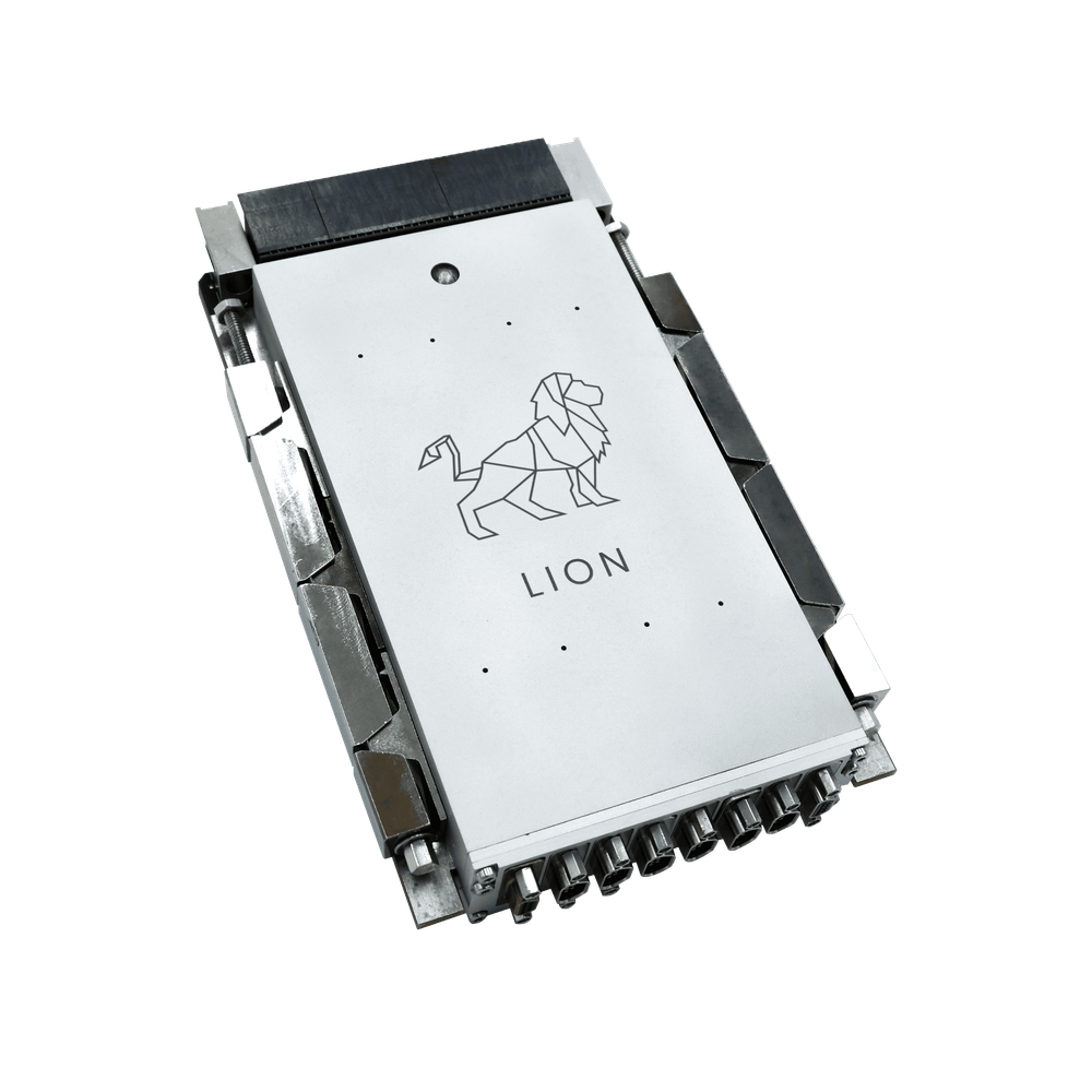 Lion DPU